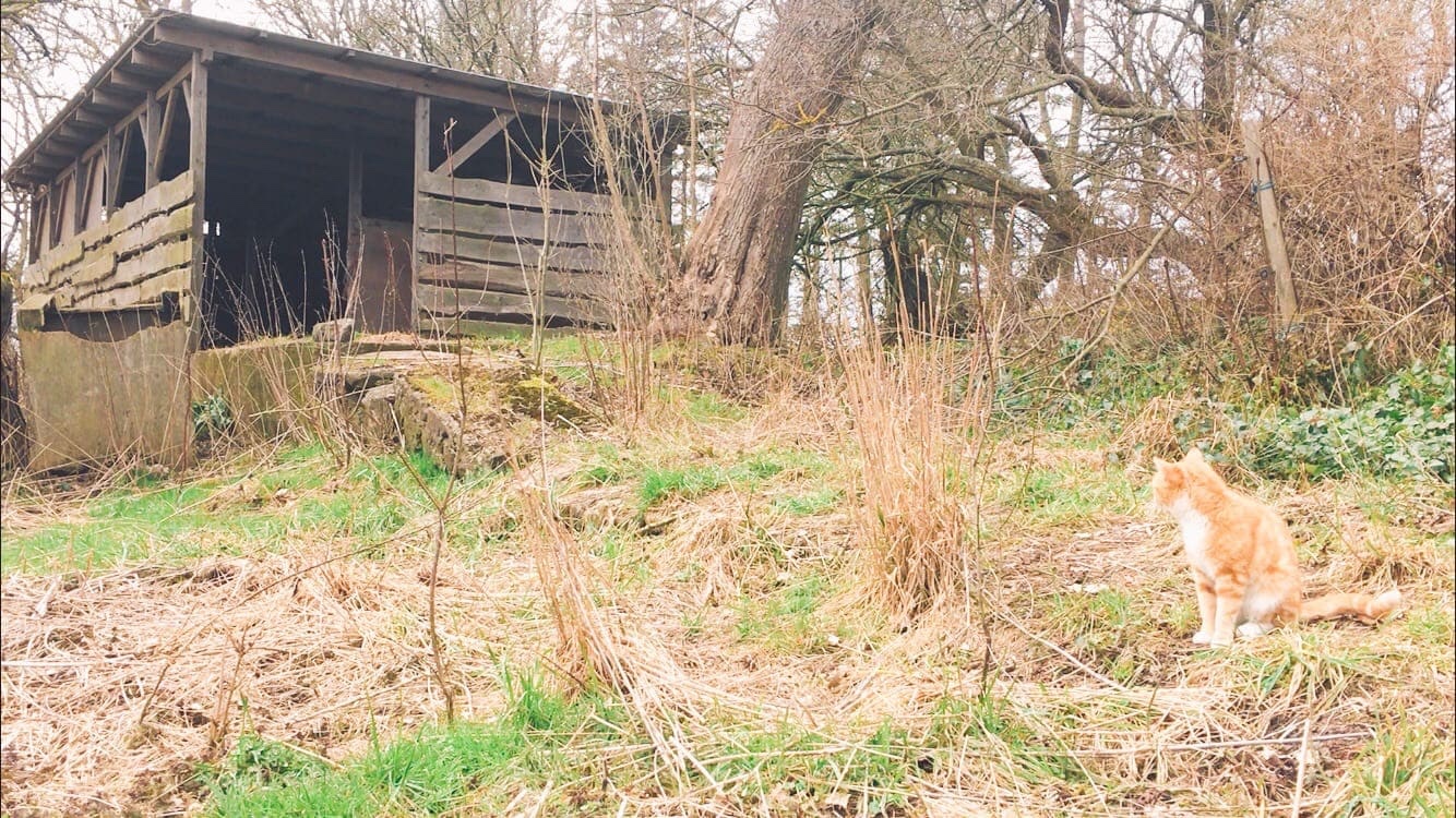 Danish Farmhouse 馬小屋